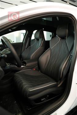 بی وای دی سيل EV